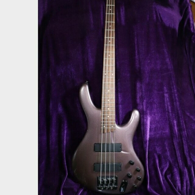 ベース Ibanez EDB600 Ibanez Ergodyne Bass EDB600 | eBay