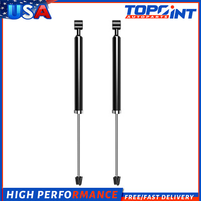 For 2011-2019 Ford Fiesta 2x Rear Set Absorbers Shocks Struts