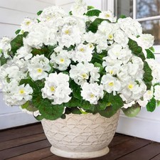 Bundles Artificial Geraniums Flowers for Outdoors Summer Decor 4 White
