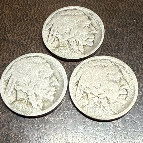 1919 P/D/S Date Set buffalo nickels