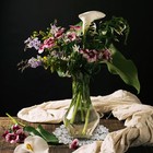 Bild 7 von 7