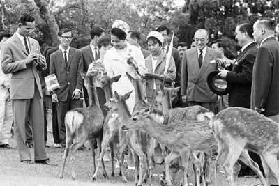 King Bhumibol Queen Sirikit of Thailand visit Nara Park May 31 196- Old Photo