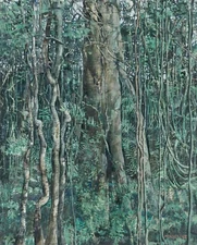 Armando Morales Art Poster or Canvas Print "SELVA"