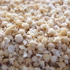 100 grams (3.52oz) - Natural Star Sand Sun Sand from Okinawa Japan beach JP