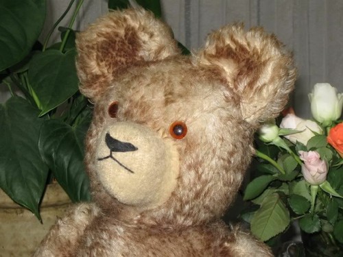 Antique Old Hermann Germany Bear 22 Inch Brown Mohair - Picture 2 of 6