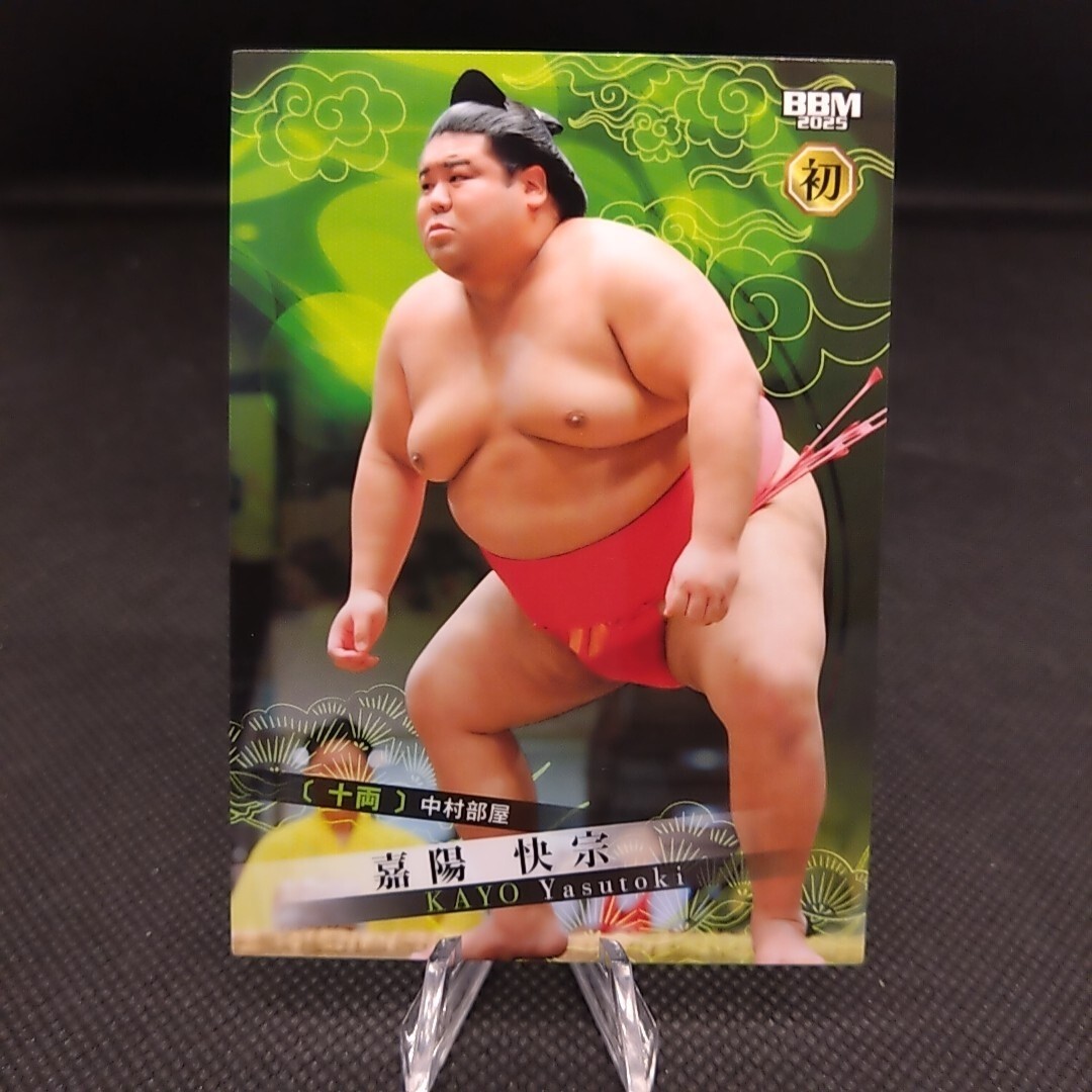 Johnny&#39;s - kayo 2025 Kayo Predator 125 Base | Johnny K's Powersports