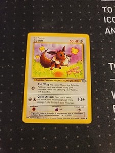 eevee 1995 pokemon card 51 64 Eevee 51 64