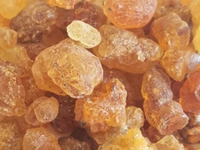Gum Arabic Resin ~ Acacia senegal Dried Gum Pieces ~ Organic Bulk Herbs 0.5-4 oz