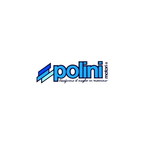 POLINI P2300011 Discos Embrague Evo AM6 Rieju 50 Spyke 2002-2006 - 第 4/5 張圖片