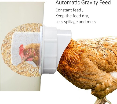 DIY Poultry Feeder PVC 5 Gallons Rain Proof Easy Install for Chickens - Picture 4 of 11