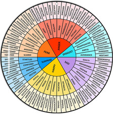 Feelings Wheel Large 12 Inch, Acrylic Emotion Wheel Chart for Therapy School Cou