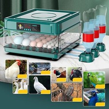 10/12/38 Eggs Incubator Chicken Goose Bird Quail Hatchery Automatic Incubation