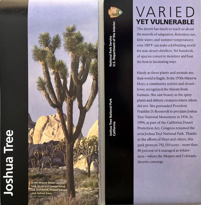 Newest JOSHUA TREE NP - CA  NATIONAL PARK SERVICE UNIGRID BROCHURE/MAP  GPO 2025