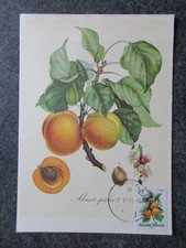 AUTRICHE carte FDC 1er jour ABRICOT PECHE en 1966 lot OA170