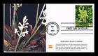 DR JIM STAMPS US COVER JEWEL ORCHID HAWAIIAN RAIN FOREST FDC MPG CACHET