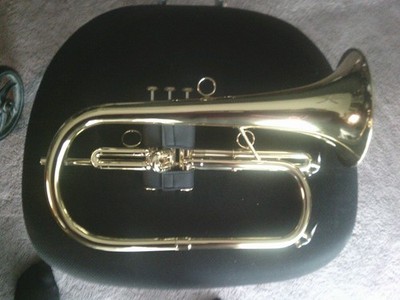 CAROLBRASS NEW STARTER FLUGELHORN