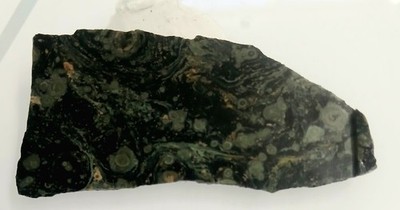 Kambaba Jasper Slab For Cab