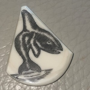 Alaskan Orca Whale