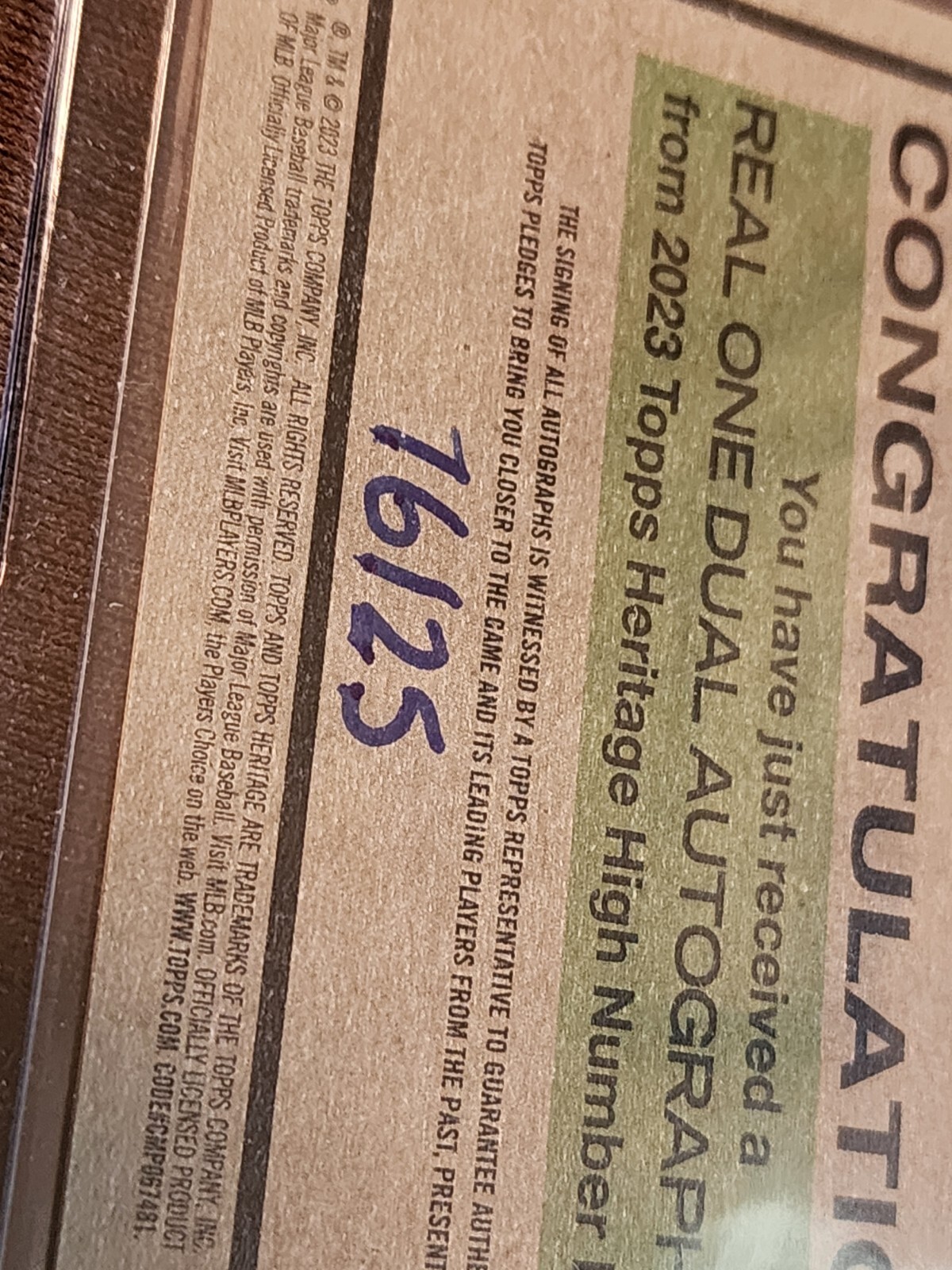 Foto 5 di 5