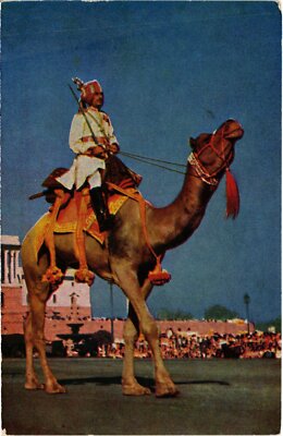 CPM Republic day parade Camel ride INDIA (1182765)