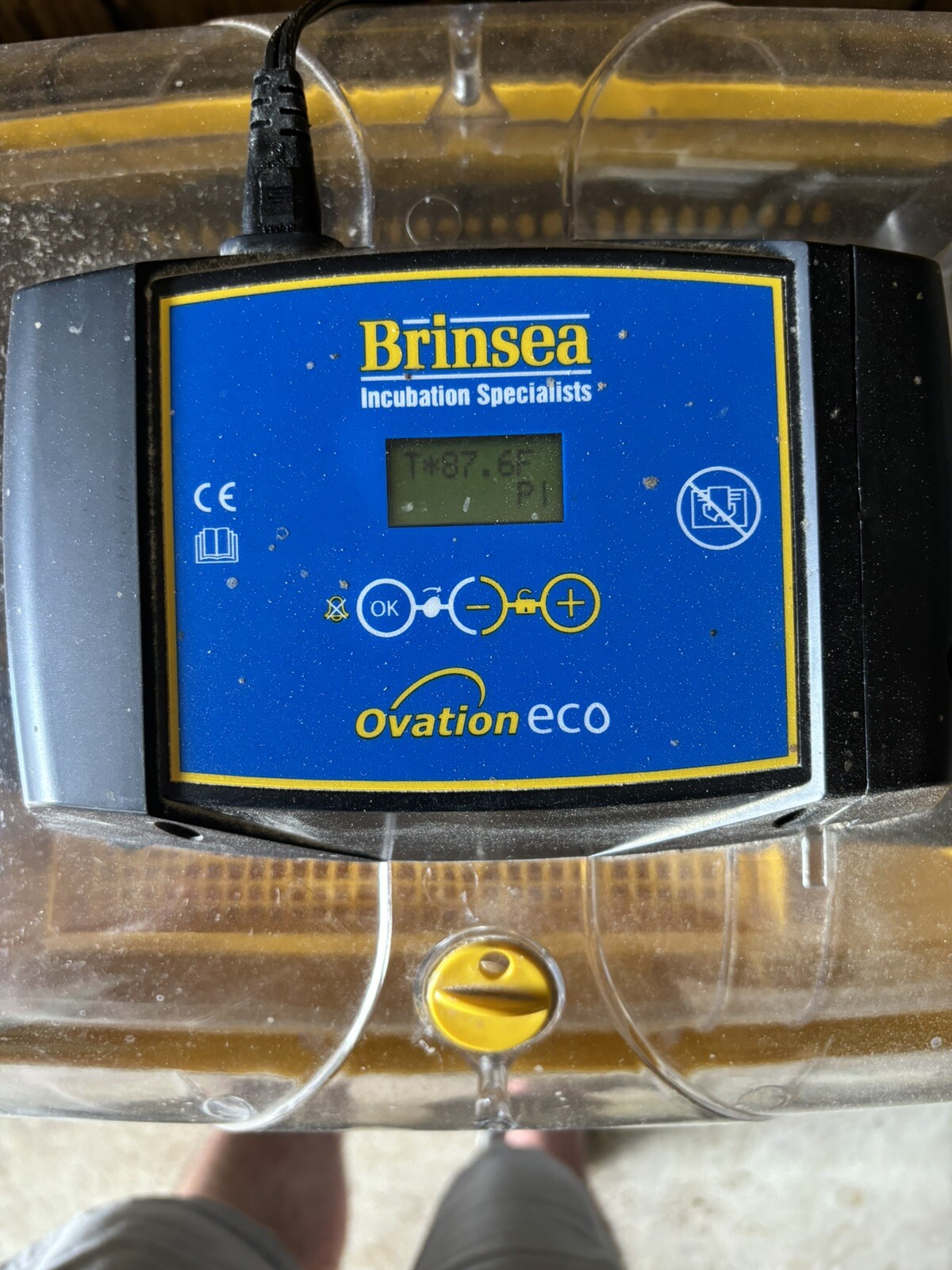 Brinsea Ovation 28 Ex Fully Automatic Bird Egg Incubator & Humidity ...