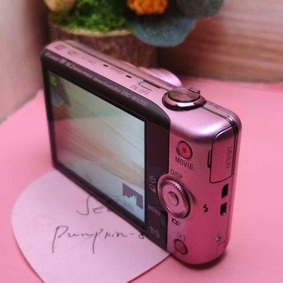 Sony Cyber-Shot DSC-WX220 DigitalCamera 18.2MP 10X Optical Zoom
