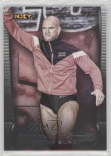 2021 Topps WWE Undisputed Danny Burch #52 2o7