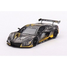 TrueScale TSM430777 1/43 Chevrolet Corvette Z06 GT3.R Daytona Presentation Gray