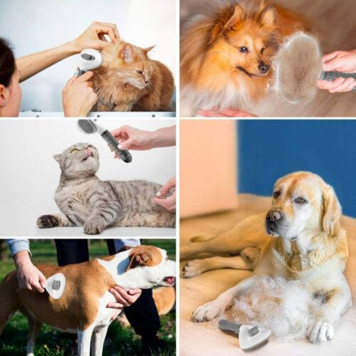 Haustier Hunde Katzen Bürste Bürsten Haar Entferner Fellpflege Selbstreinigend~ - Bild 8 von 17