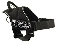 Dt Fun Works Harness, Service Dog In Training, Black With Reflective Trim, Large Dt Fun Works Harness, Service Dog In Training, Black With Reflective Trim, Large