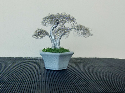 where to buy cactus near me Cowboy Cactus - Euphorbia acrurensis main image 0