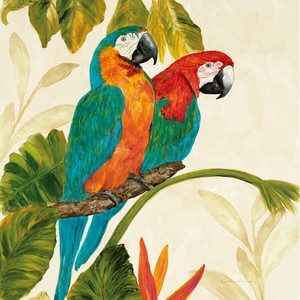 Modern Wall Art Home Decor Colourful Parrots Bird Print ...