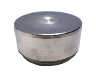 Carquest P8341 Scheibenbremszangenkolben P-8341