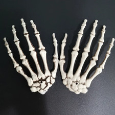 Halloween Decoration Realistic Life Size Skeleton Hands Plastic Fake Human Hand