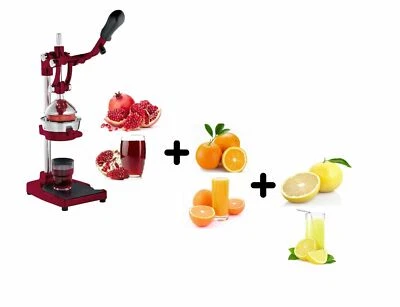 CILIO SPREMIAGRUMI PREMIAGRUMI SPREMITORE MELOGRANO PROF ROSSO BAR RISTORANTE 9 2025