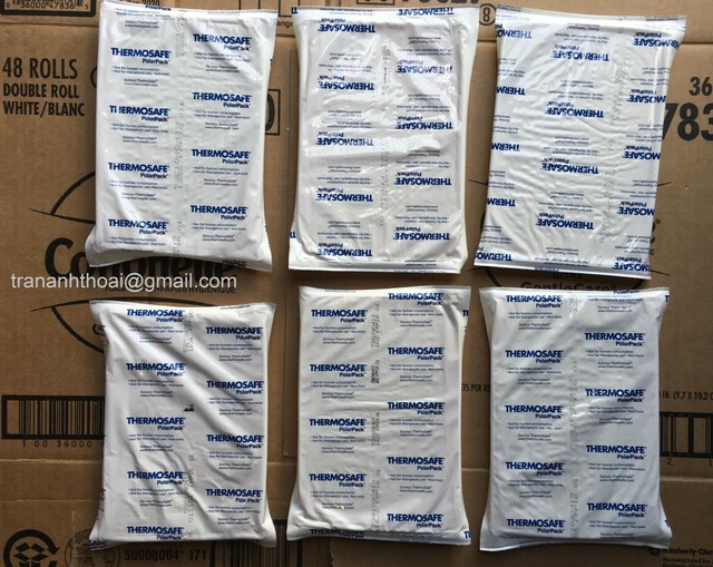 ThermoSafe Polar Pack Foam Brick Freezer Cold Ice Packs (8"x5.5"x0.5