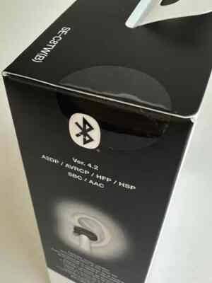 Pioneer SE-C8TW Black Bluetooth Completely Wireless Earphone