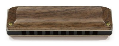 Suzuki Musical Instruments Manufacturing Co., Ltd. M-20W-C 10-Loch Mundharmonika