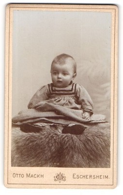 Photograph Otto Mackh, Eschersheim, sweet toddler in dress sitting on fur 
