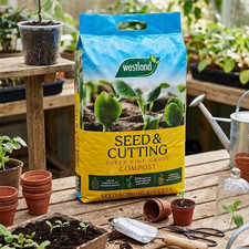 Westland Seed & Cutting Compost Nutrient Balanced Indoor Outdoor Plant Soil 25L 0.44 per litre