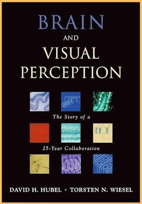 Brain and Visual Perception: The - Hardcover, by Hubel M.D. David - Very Good b