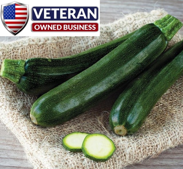 20 Heirloom Vegetable Garden NONGMO Black Beauty Zucchini