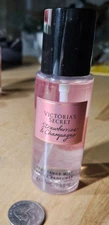 VICTORIA’S SECRET Strawberries & Champagne BODY MIST SPRAY SPLASH 2.5 oz #D4-3
