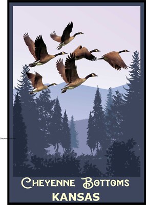 Travel Poster 20 x 30 Visit Cheyenne Bottoms Kansas  National Park
