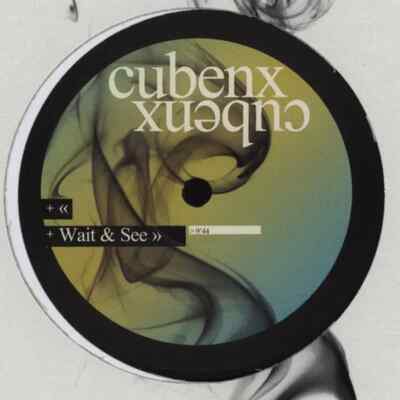 Cubenx Wait & See STILL SEALED Vinyl Single 12inch NEW OVP Infiné