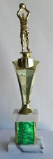Basketball Trophy - Male or Female - 17" Tall - Free Engraving