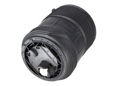 Federbein VW Touareg III (CR7) 3.0 TDI 4motion  170 kW  231 PS (05.2018-> ) 4M4