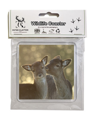 Wildlife Getränk Untersetzer Geschenk umweltfreundliche Verpackung: Damwild Hirsch Reh Tier