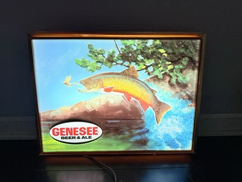 Vintage Rare GENESEE BEER Trout Fish Shadow Box Bar Light Sign