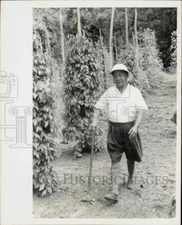 1965 Press Photo A man walking through an orchard. - lry27826